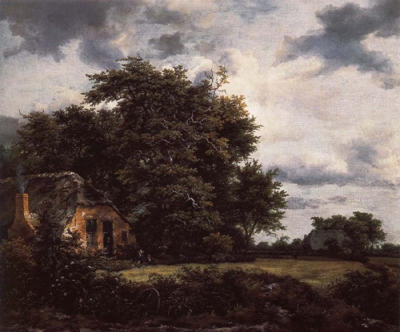 Jacob van Ruisdael Cottage under the trees near a Grainfield